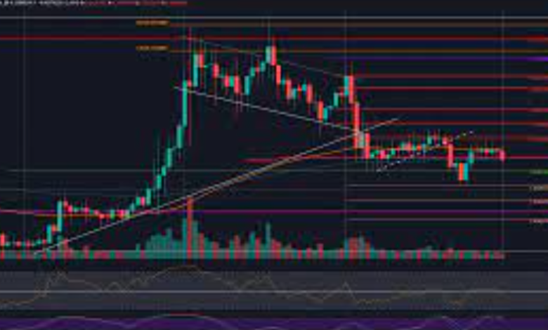 The Role of Ripple in XRP Price USD Movements