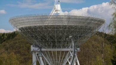 telecommunication contact numbers list