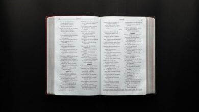 enterprise reference document details